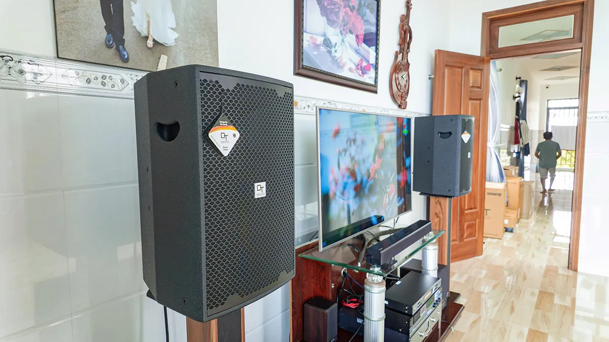 Loa DT của Dàn karaoke DT TT436: (DT D2000, Vatasa T900 New, Vatasa V6 Pro, DT DH-208, CAVS CS115, Vatasa P9 Luxury)