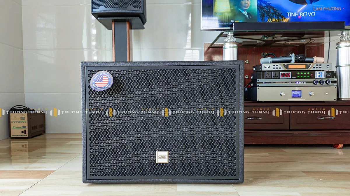 Loa sub của Dàn karaoke DT TT436: (DT D2000, Vatasa T900 New, Vatasa V6 Pro, DT DH-208, CAVS CS115, Vatasa P9 Luxury)