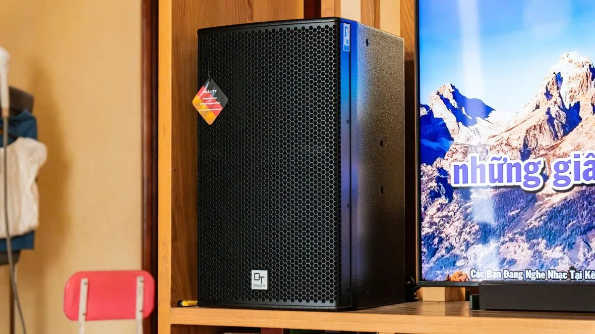 Loa karaoke của Dàn karaoke DT TT462: (DT Radius-12Pro, Vatasa HC600, Nex 12)