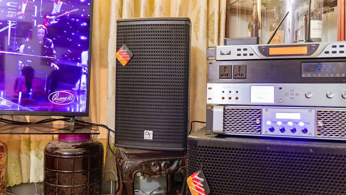 loa dt alpha12 của Dàn Karaoke DT TT344: (DT Alpha12, Vatasa T900 New, Vatasa V8Pro, DT Lion406, DT Delta115, Vatasa P9 Limited)