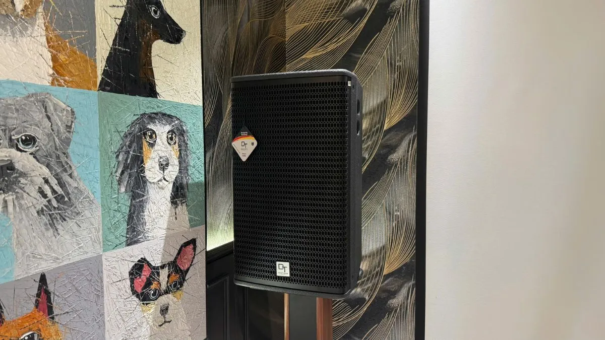 loa karaoke chính của Dàn karaoke DT TT475: (2 DT Alpha12, Vatasa T900 New, Vatasa V8 Pro, DT Lion206, DT Lion406, DT Delta118, Vatasa PW8, VietK 4K Plus 4TB, VietK 22inch)