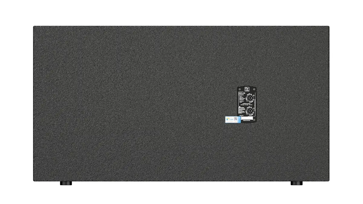 Mặt sau của Loa sub DT Delta218 (2)