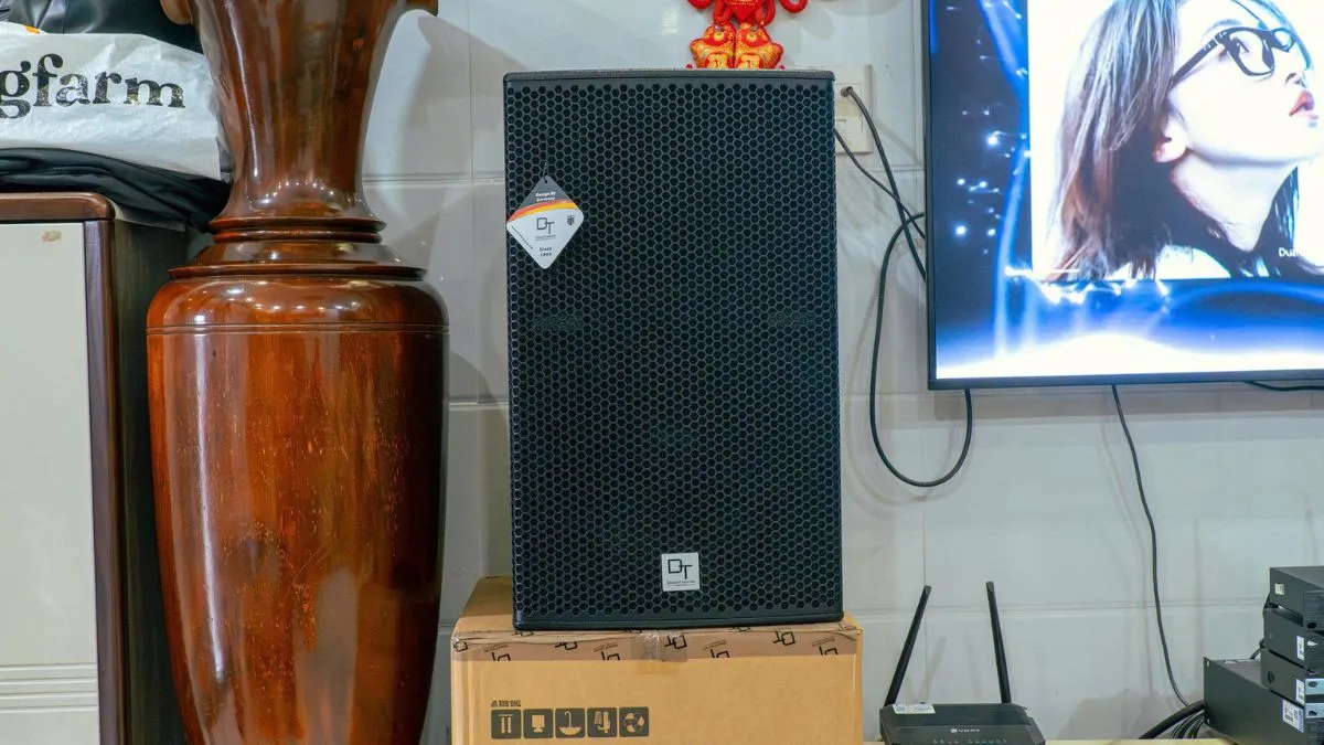loa dt radius 12pro của Dàn karaoke DT TT480: (DT Radius-12Pro, Vatasa T500, Vatasa V6 Pro, Vatasa VA-2600, Paramax Sub-E30, Vatasa P9 Luxury)