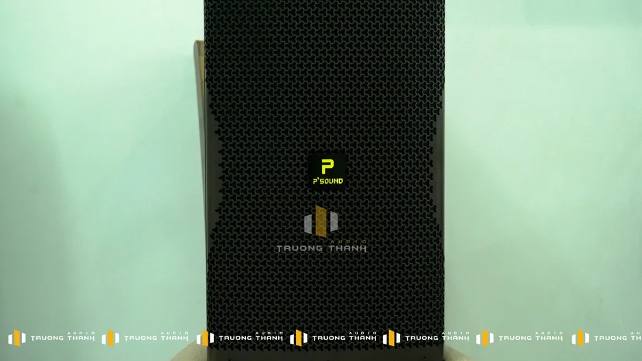 Loa karaoke của Dàn Karaoke P'Sound TT383