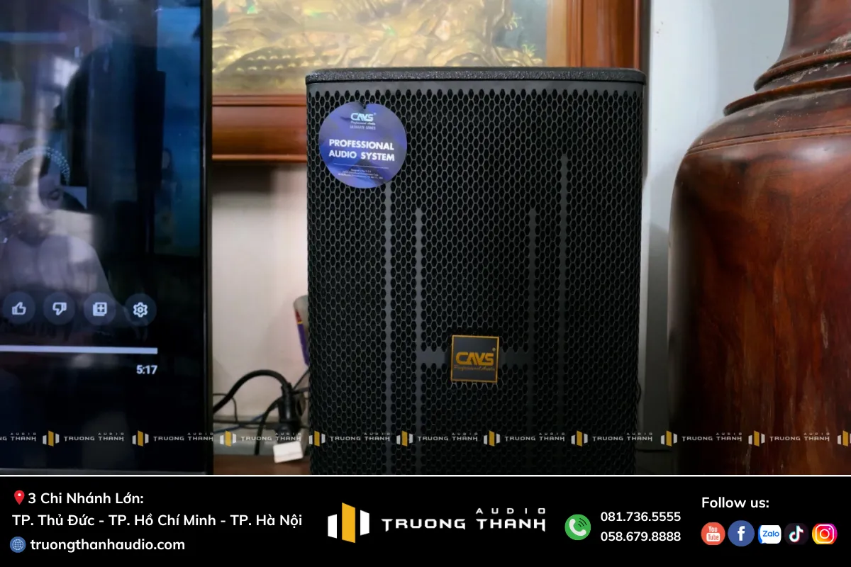 Loa karaoke của Dàn Karaoke CAVS TT384