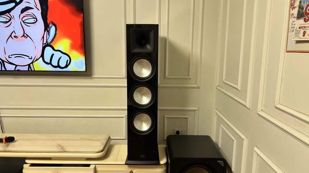 Loa karaoke của Dàn Karaoke Paramax TT399