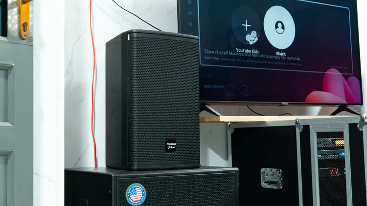 Loa karaoke của Dàn Karaoke Paramax TT406