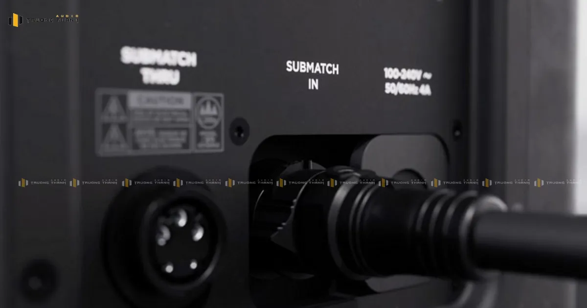 Cổng kết nối của Loa Bass Bose SUB2