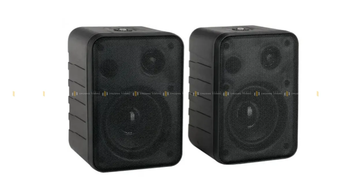Loa Hộp Treo Tường KACAUDIO 204A