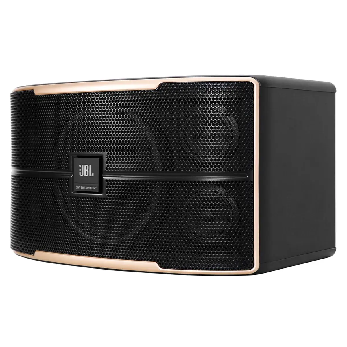 Mặt bên phải của Loa karaoke JBL Pasion 10