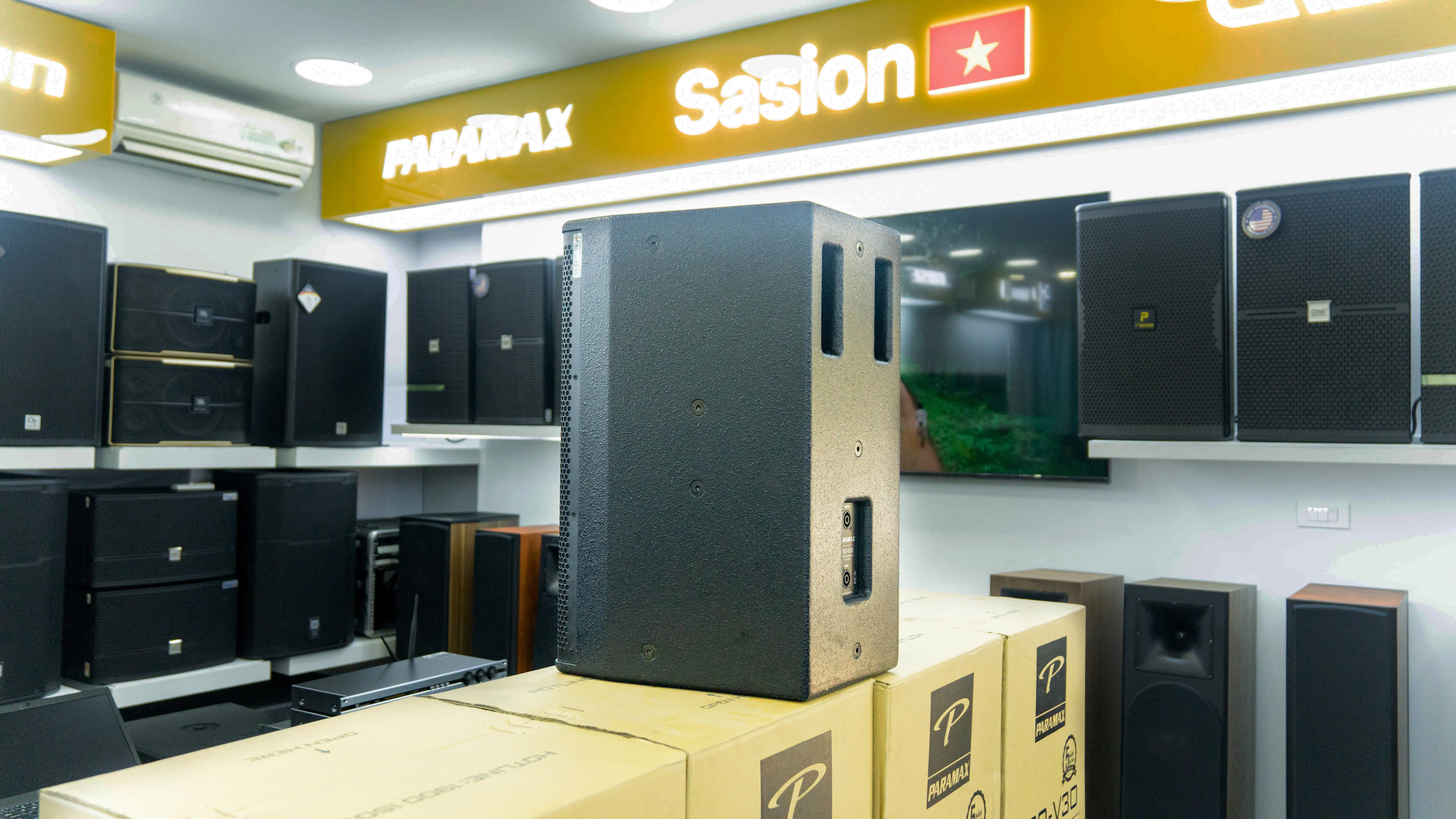 Ảnh sản phẩm Loa Karaoke Paramax PRO V30 2