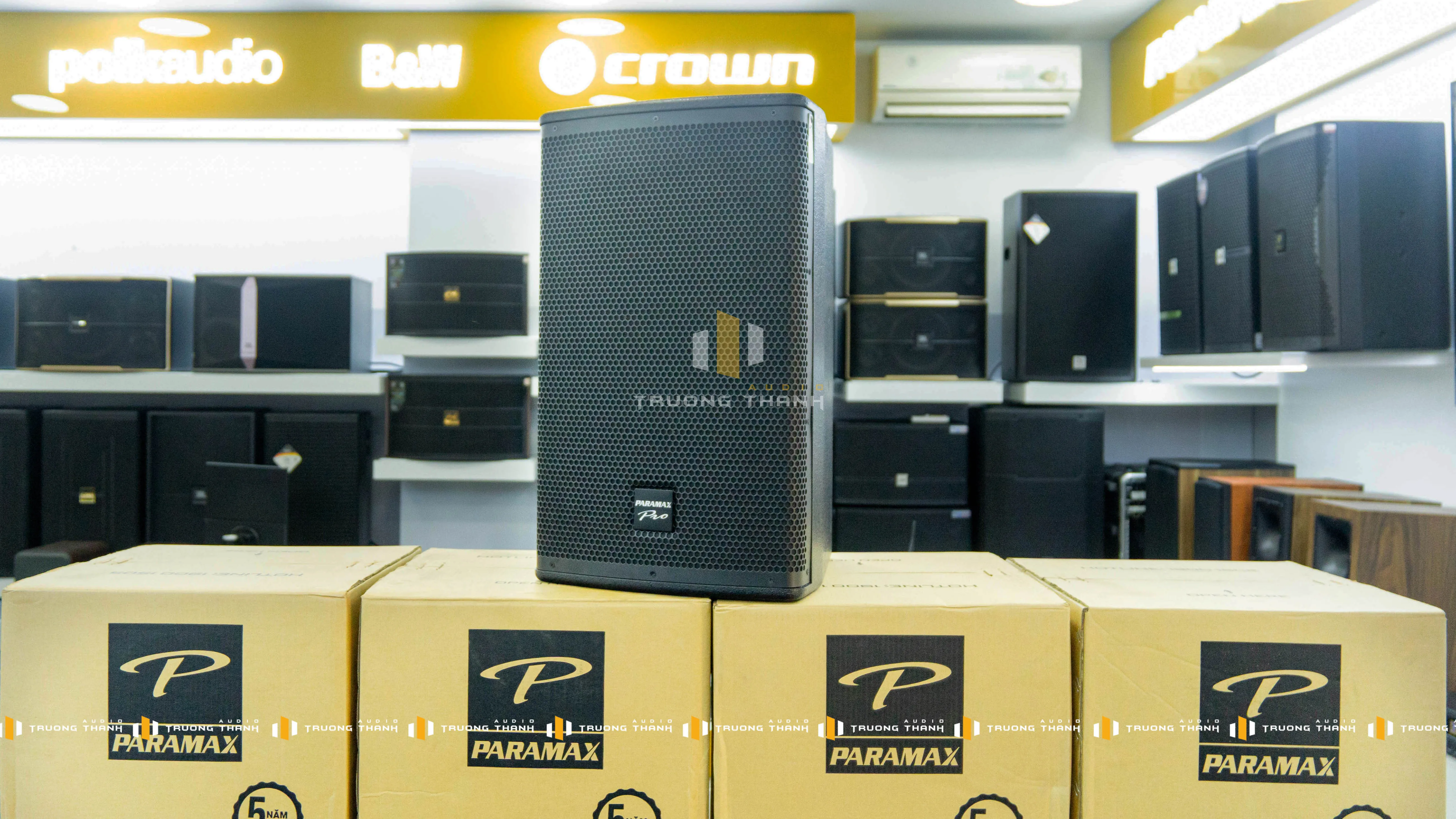 Ảnh sản phẩm Loa Karaoke Paramax PRO V30 1