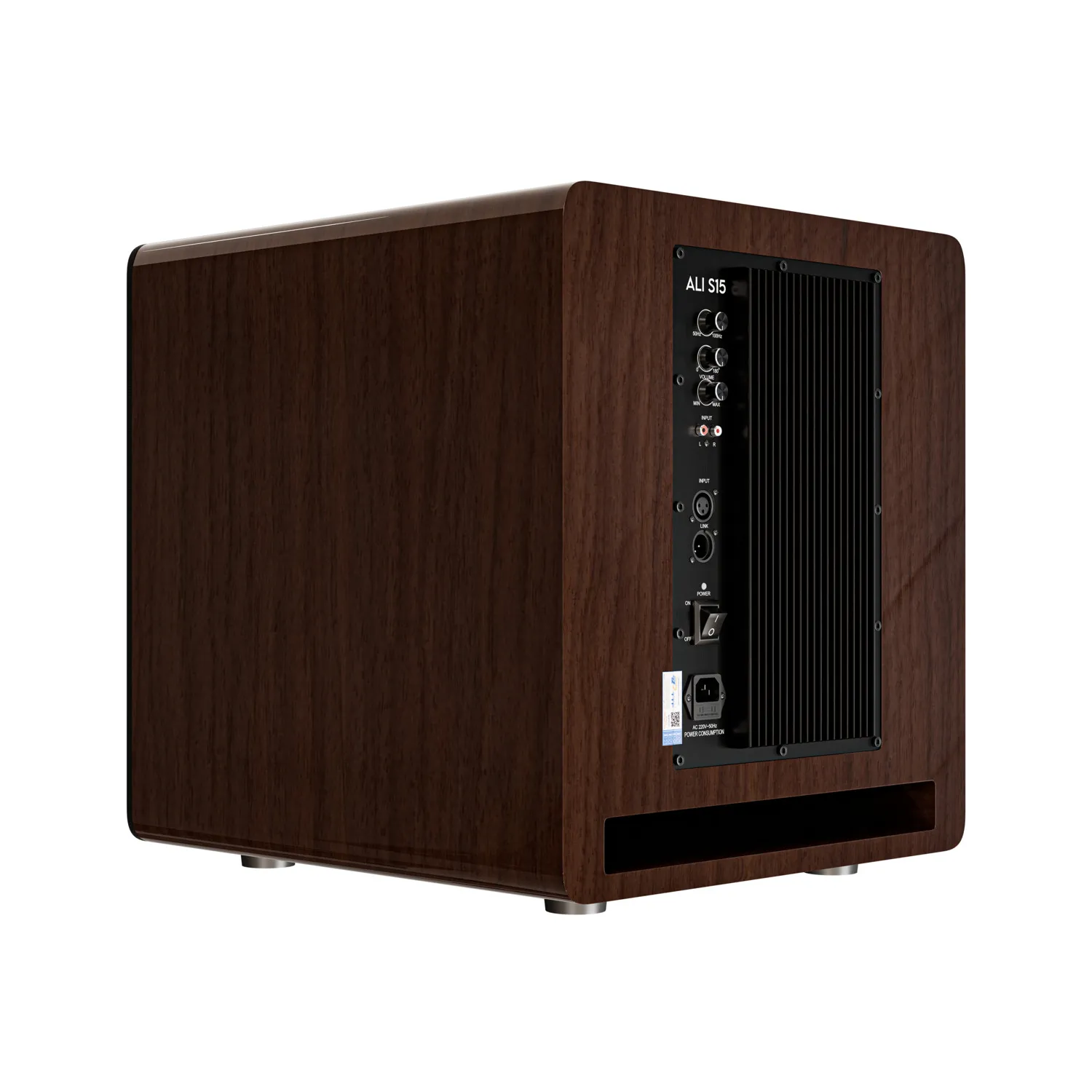 Mặt nghiêng góc sau Loa sub Sasion ALI S15 4