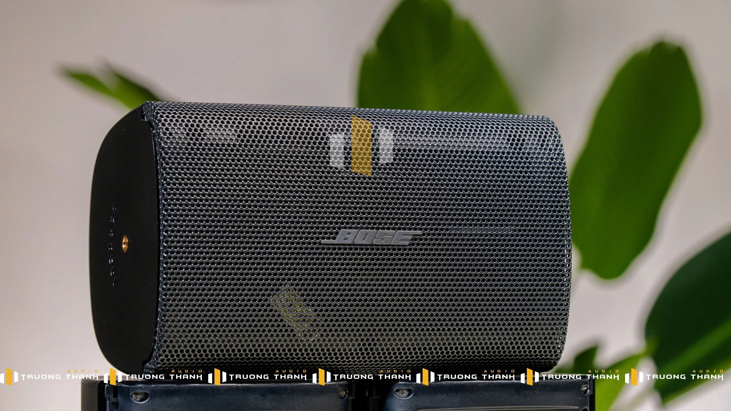 Mặt trước của Loa treo tường Bose FreeSpace FS2SE