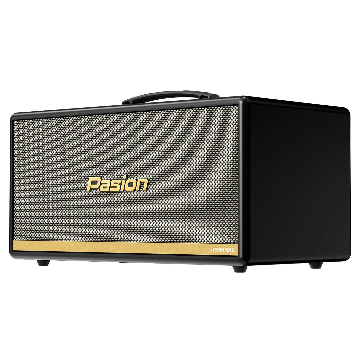 Loa Di Động Xách Tay Paramax PASION 2c màu đen