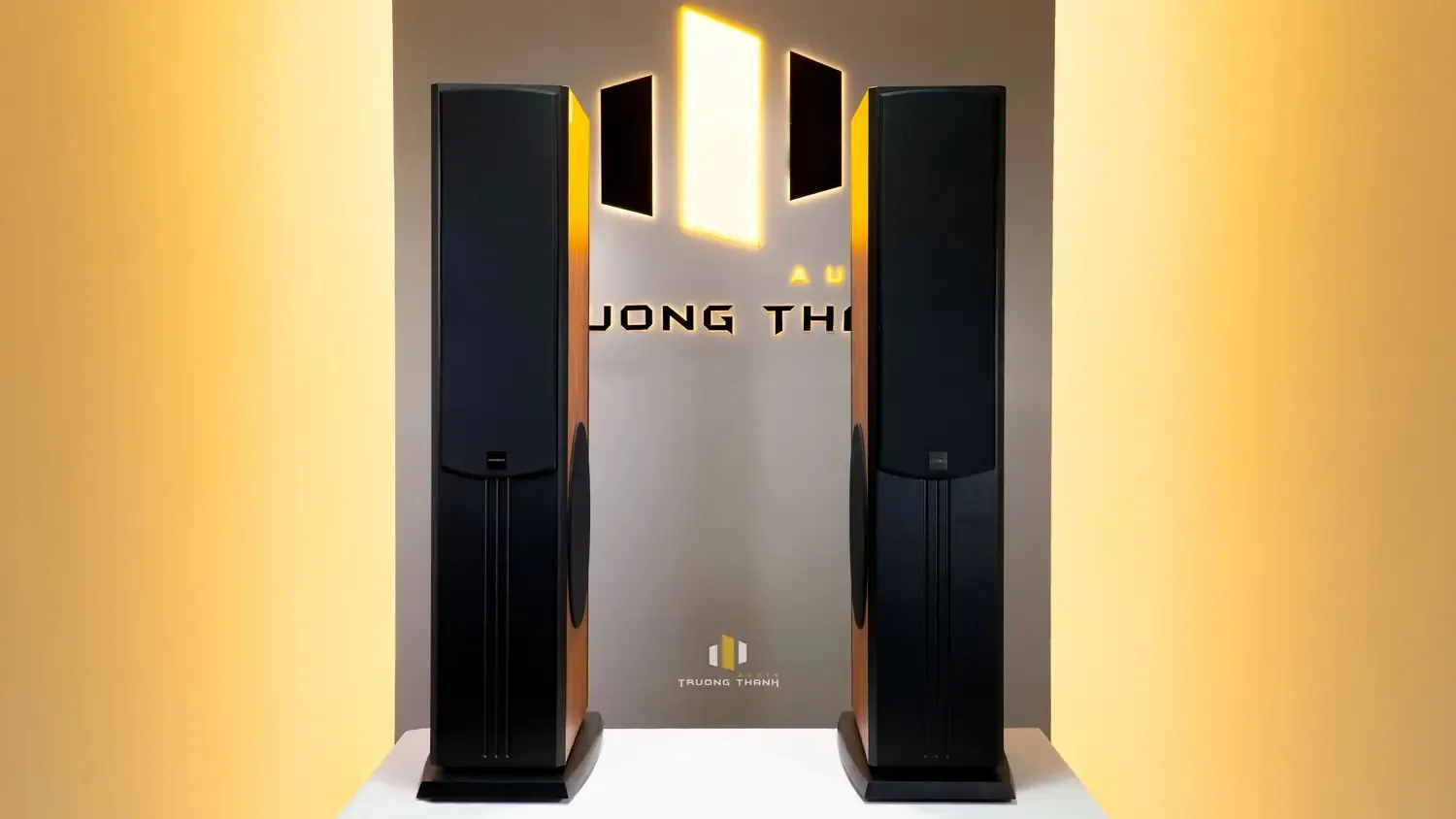 Mặt trước của Loa Paramax D88 Limited