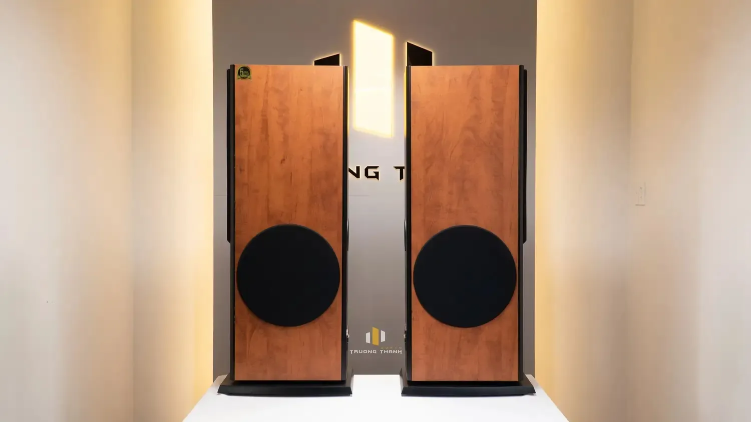 Mặt bên của Loa Paramax D88 Limited nằm ngang