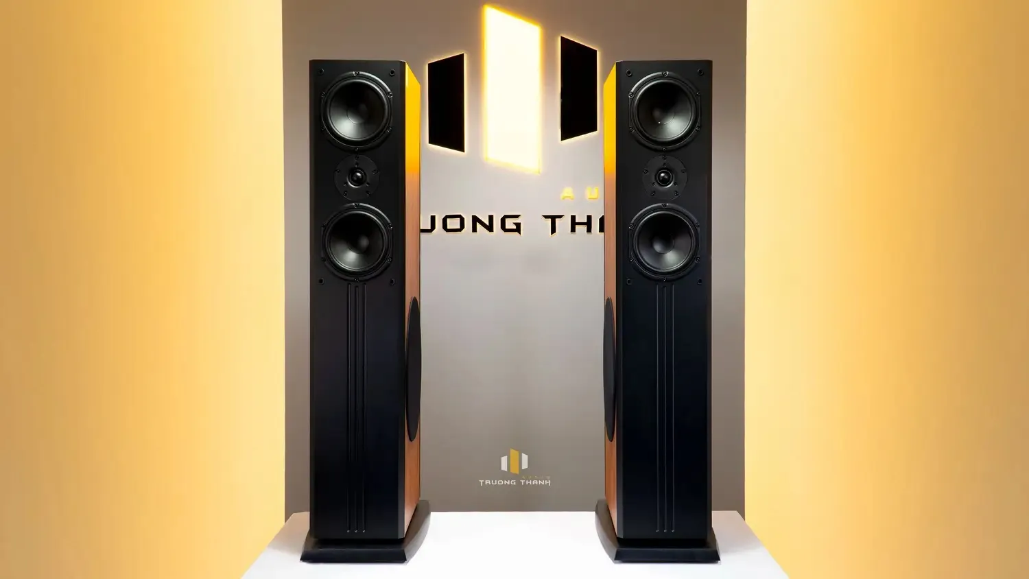 Mặt trong của Loa Paramax D88 Limited