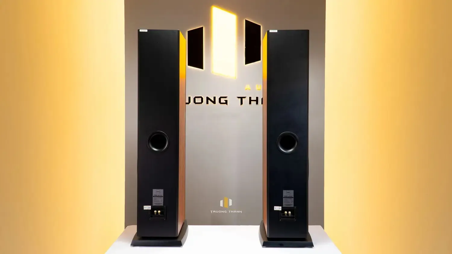 Mặt sau của Loa Paramax D88 Limited