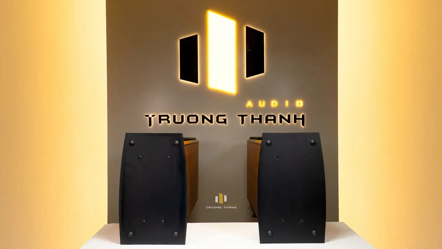 Phần đế của Loa Paramax D88 Limited