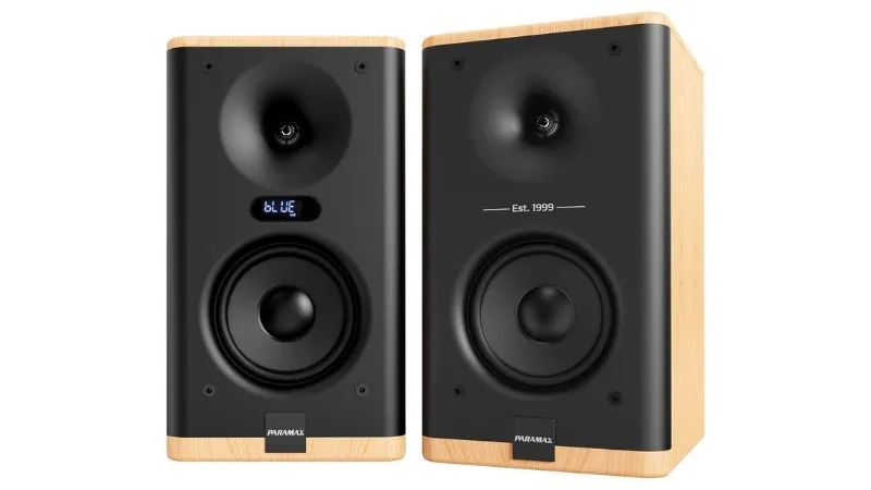 Mặt trong Loa Paramax Homi 6 Smart