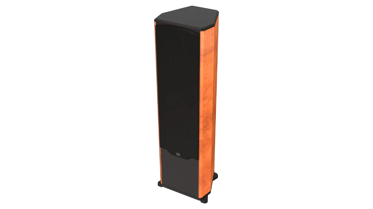 Mặt trên của Loa Paramax MK-D2000
