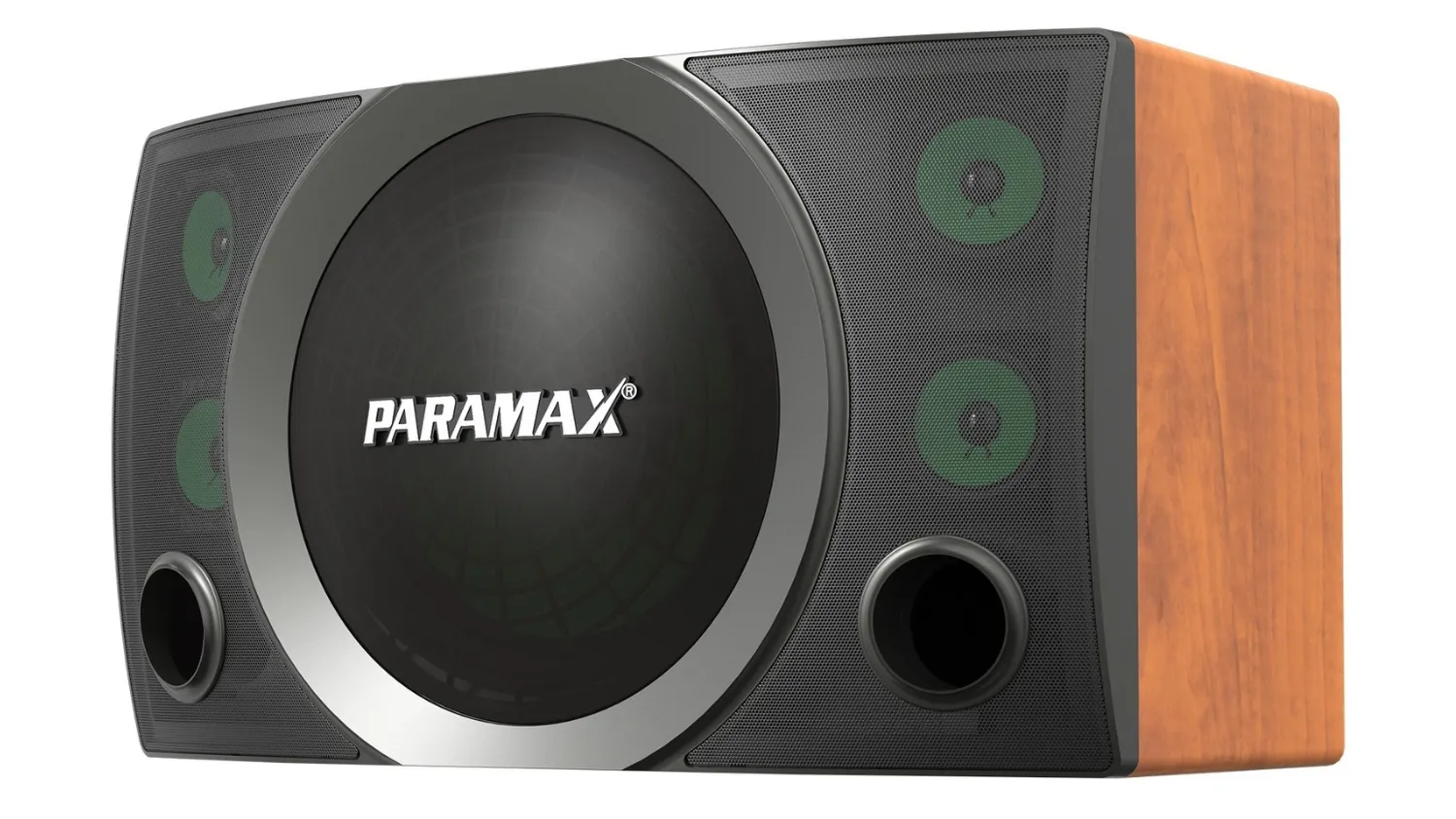 Mặt bên của Loa Paramax MK-S2000