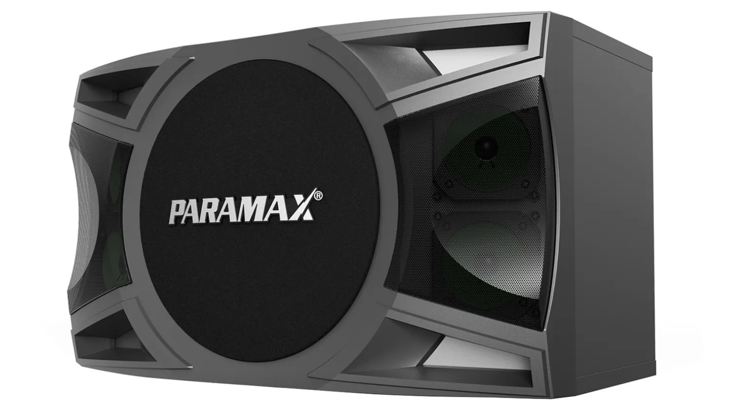 Mặt bên của Loa Paramax MK S1000
