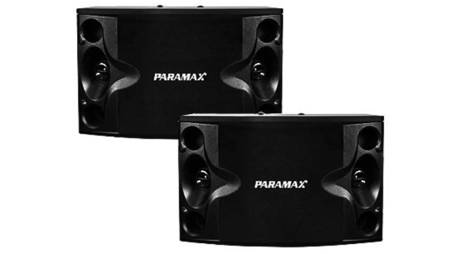 Mặt trước của Loa Paramax P-500
