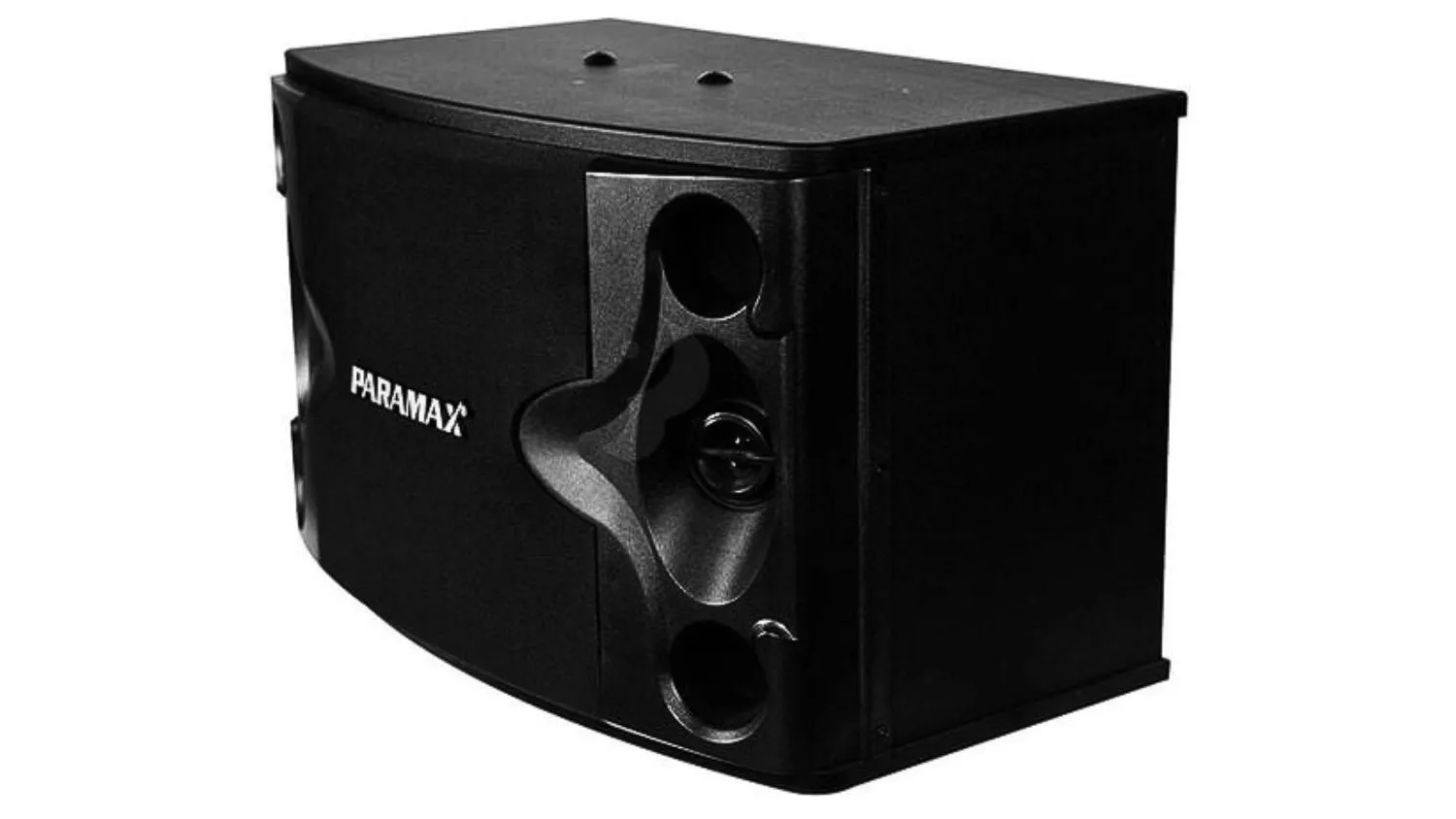 Mặt bên của Loa Paramax P-500