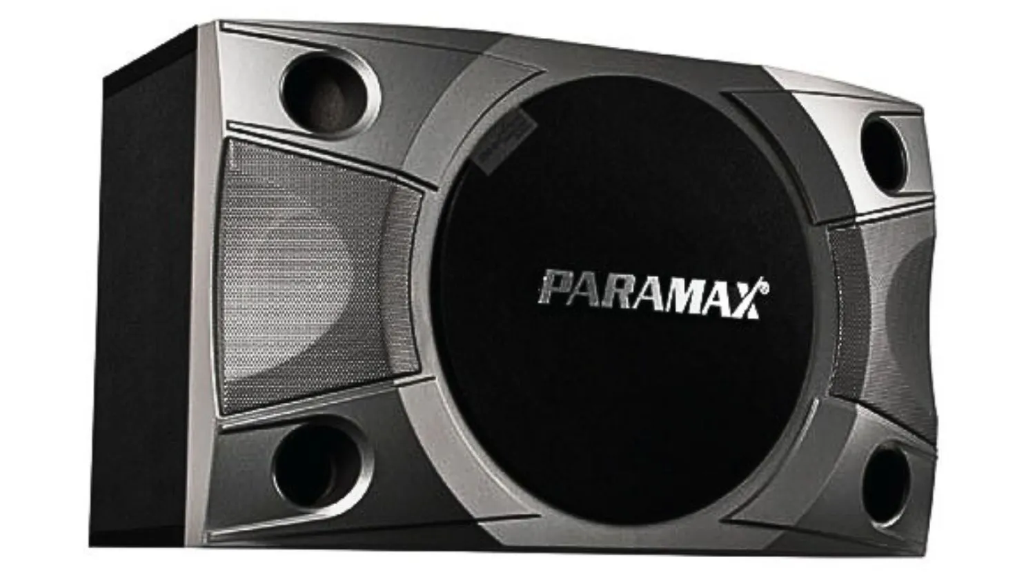 Mặt nghiêng của Loa Paramax P-800
