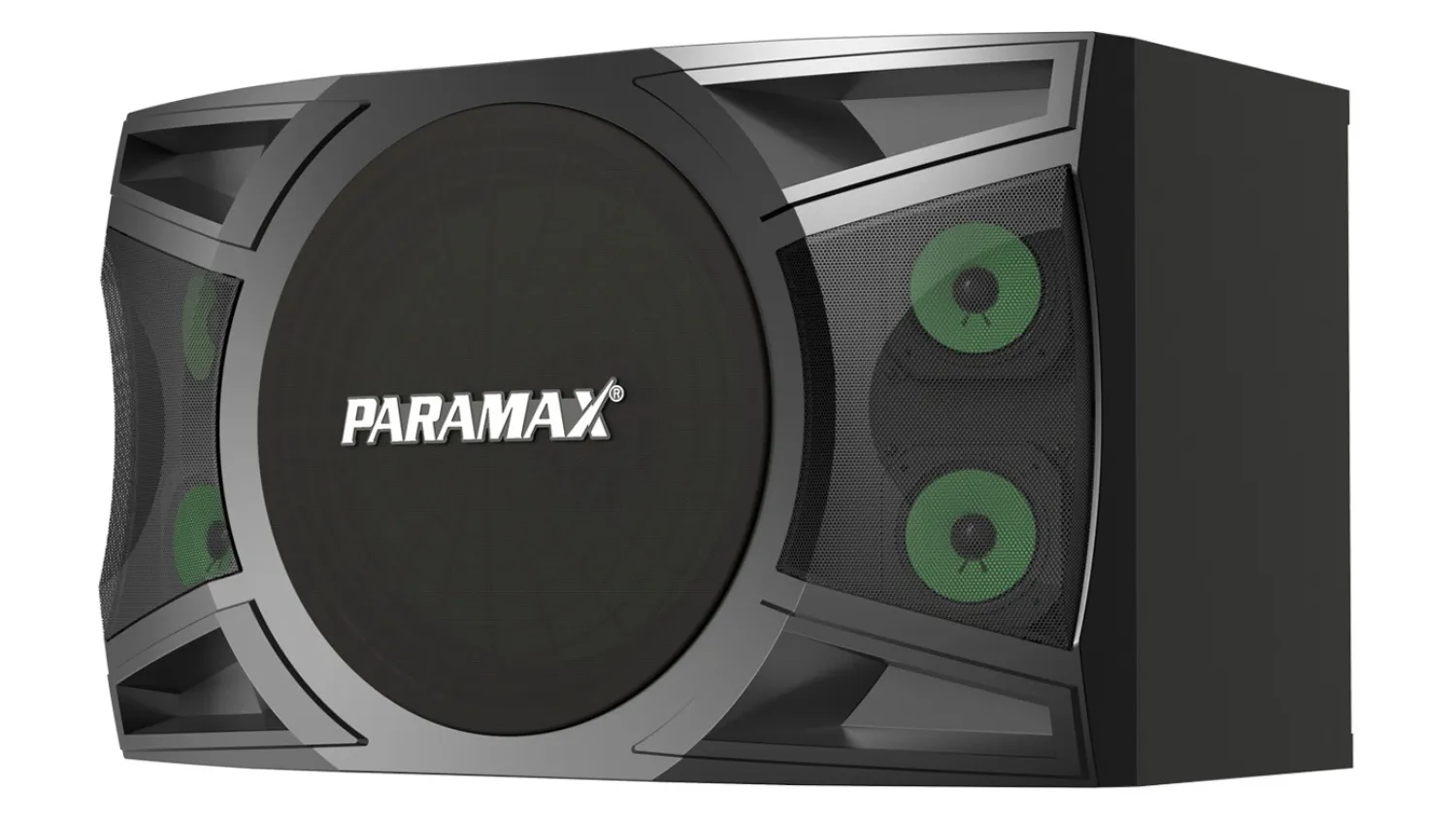 Mặt bên phải của Loa karaoke Paramax P1000
