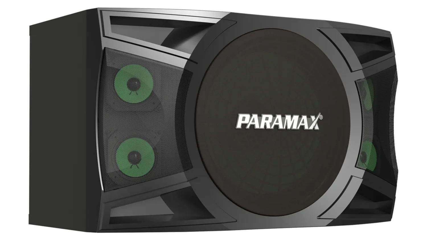 Mặt bên trái của Loa karaoke Paramax P1000