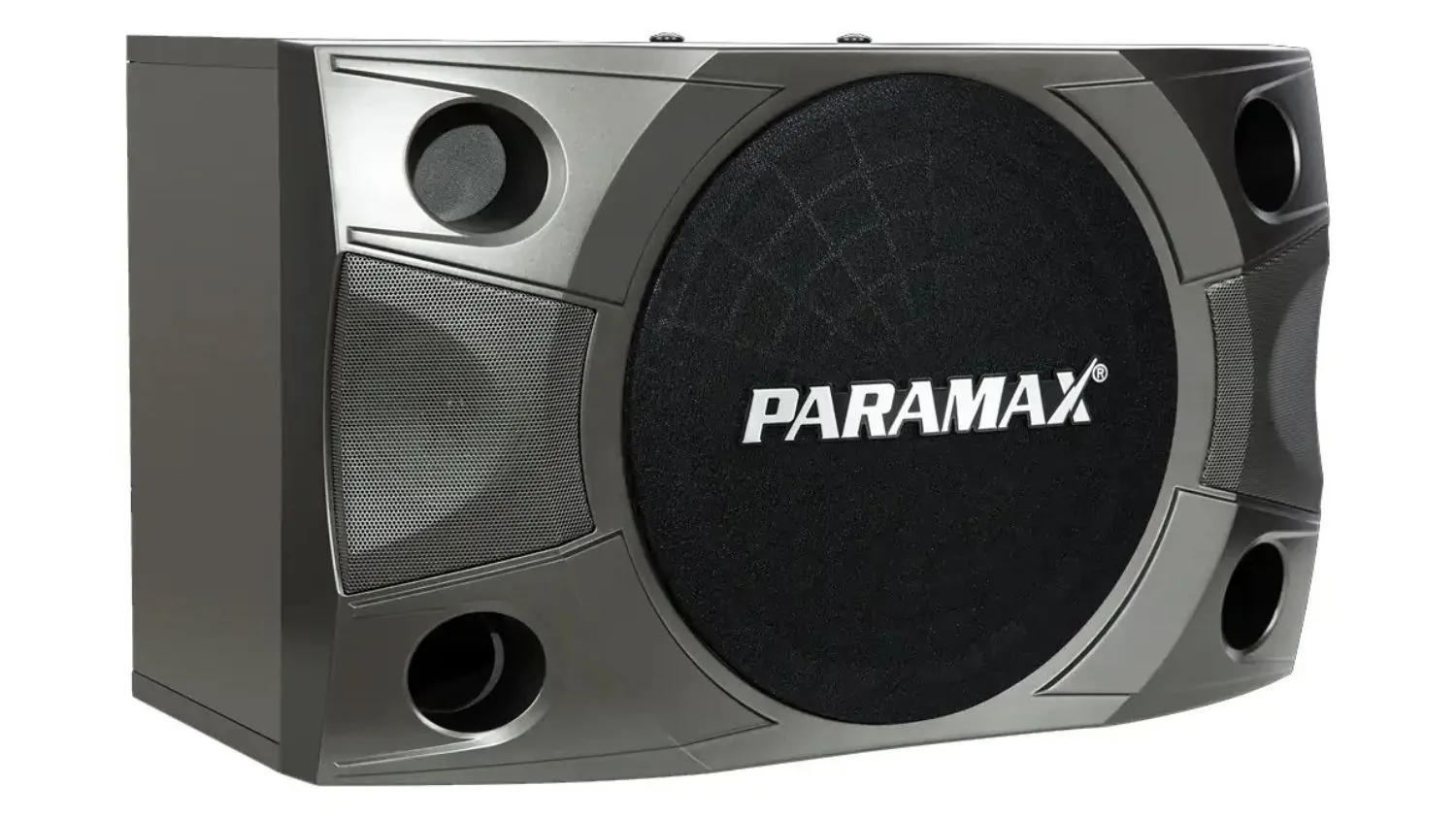 Mặt bên trái của Loa Paramax P850