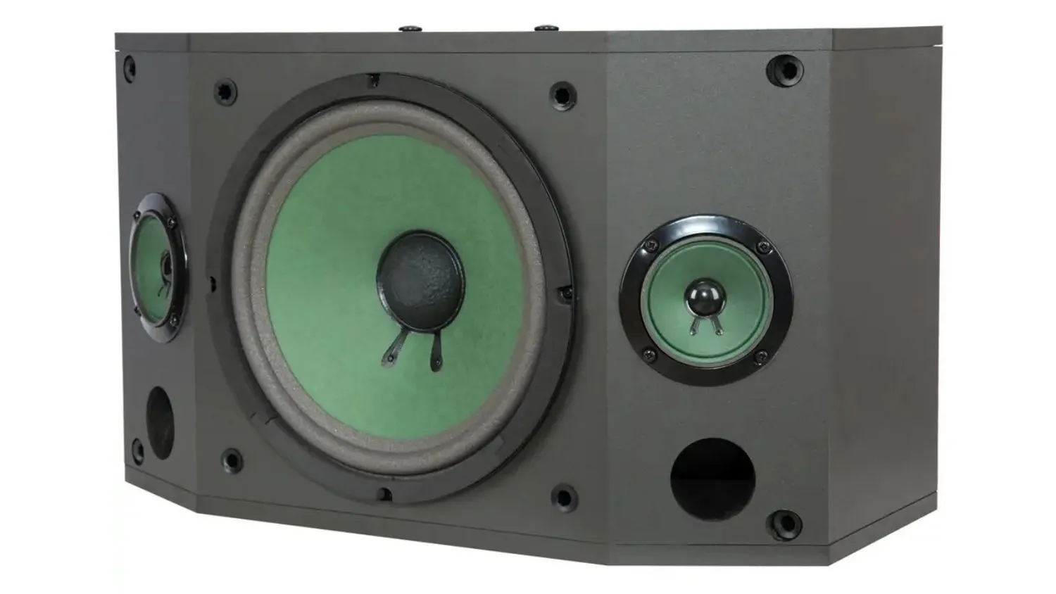 Mặt trong của Loa Paramax P850