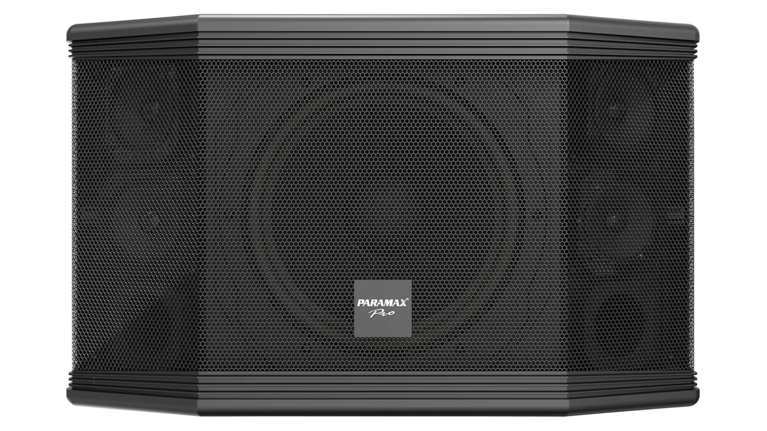 Mặt trước của Loa Paramax PRO C10