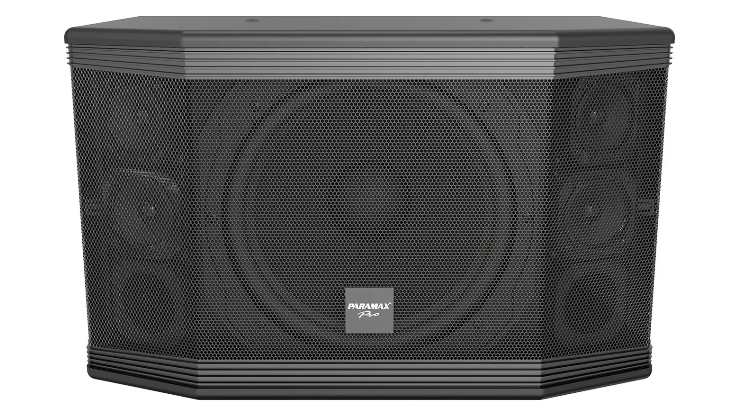 Mặt trước của Loa Paramax PRO C12