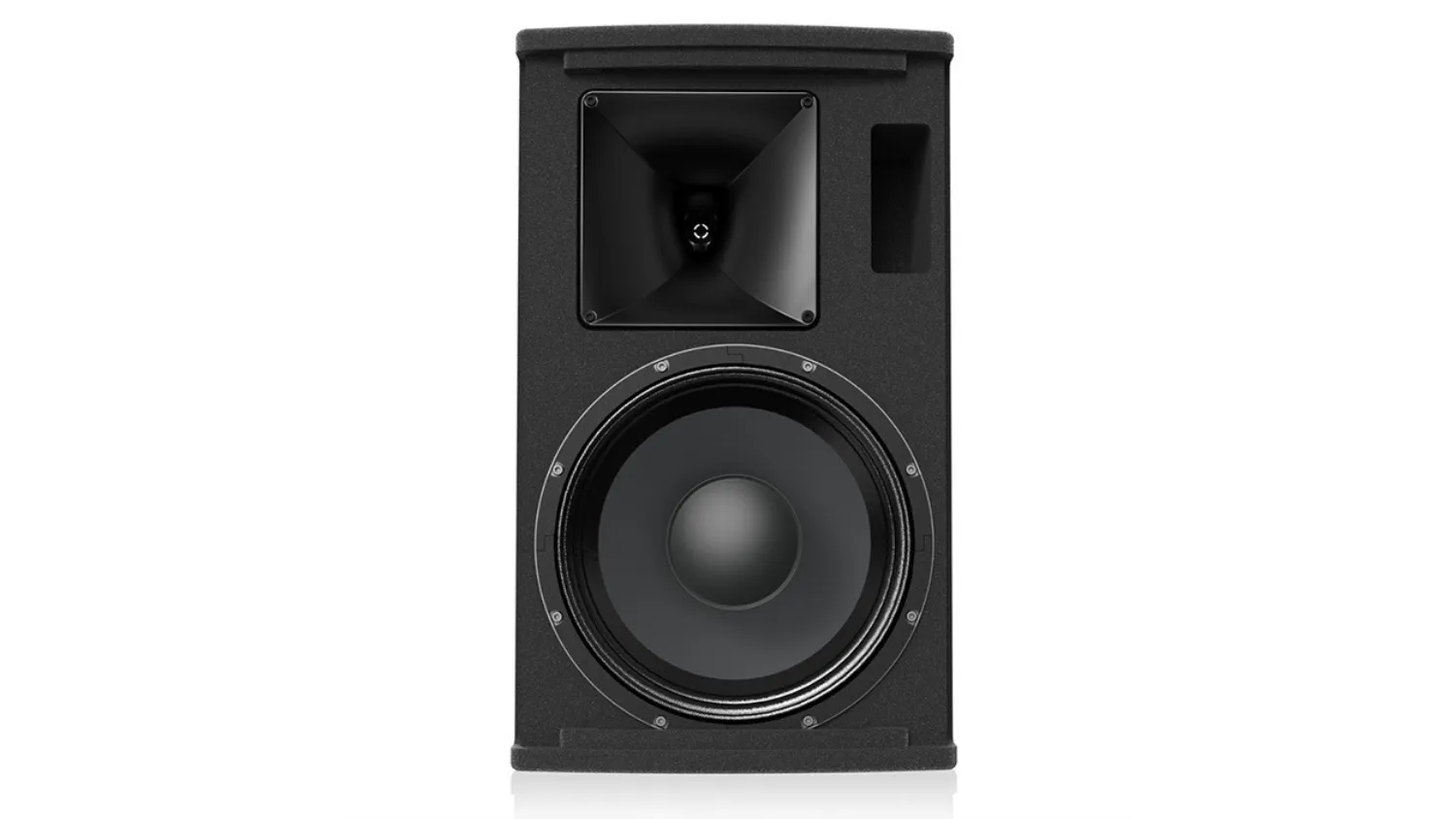 Mặt trong của Loa Paramax Pro S25
