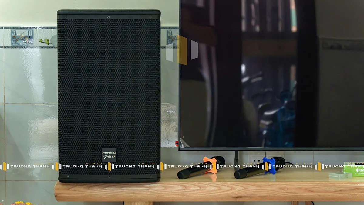 loa karaoke paramax pro v30 của Dàn karaoke Paramax TT330: (Paramax PRO V30, Vatasa Bla600 New, B&W S1500 Max)