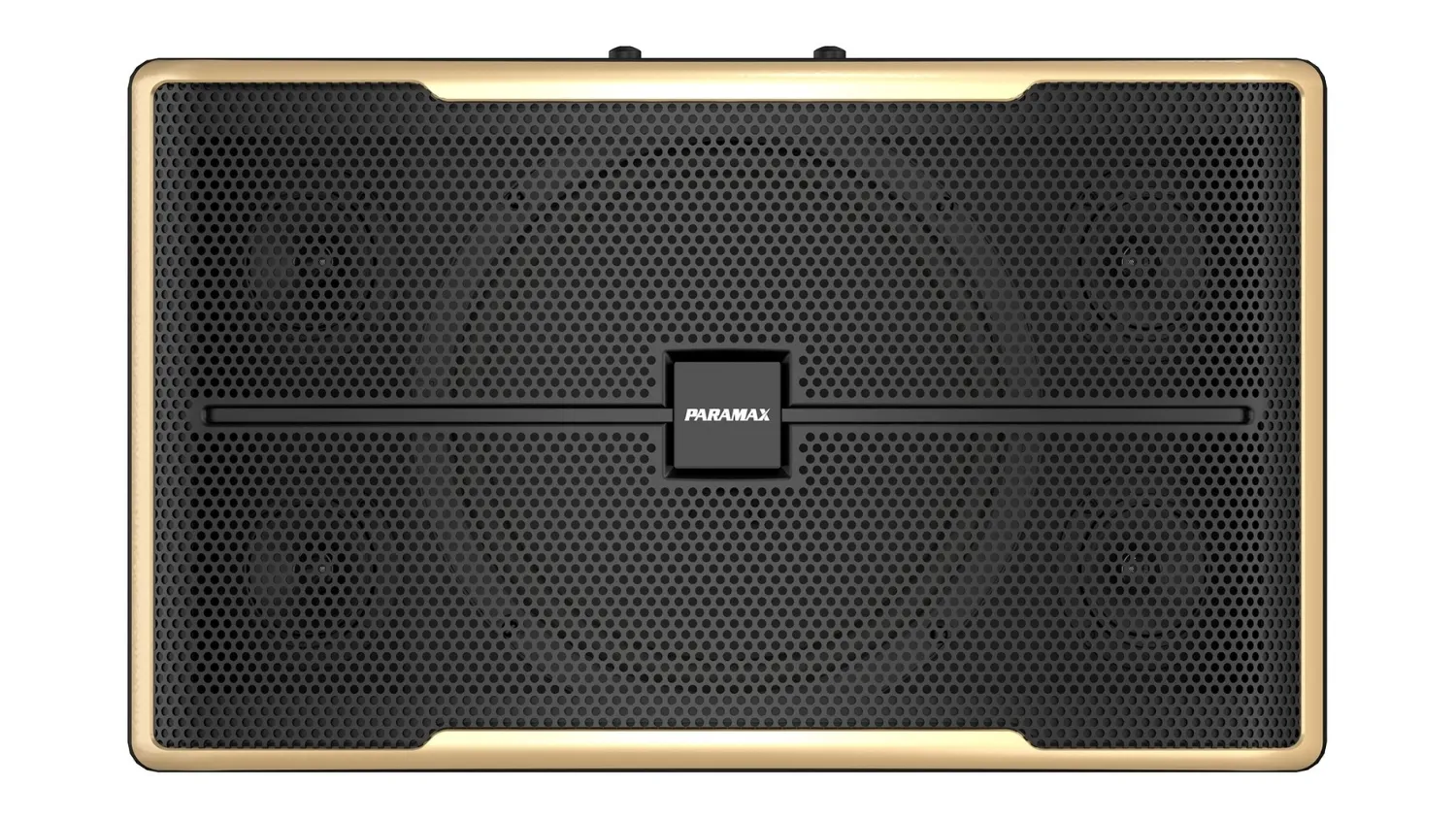 Mặt trước của Loa Karaoke Paramax Z2500