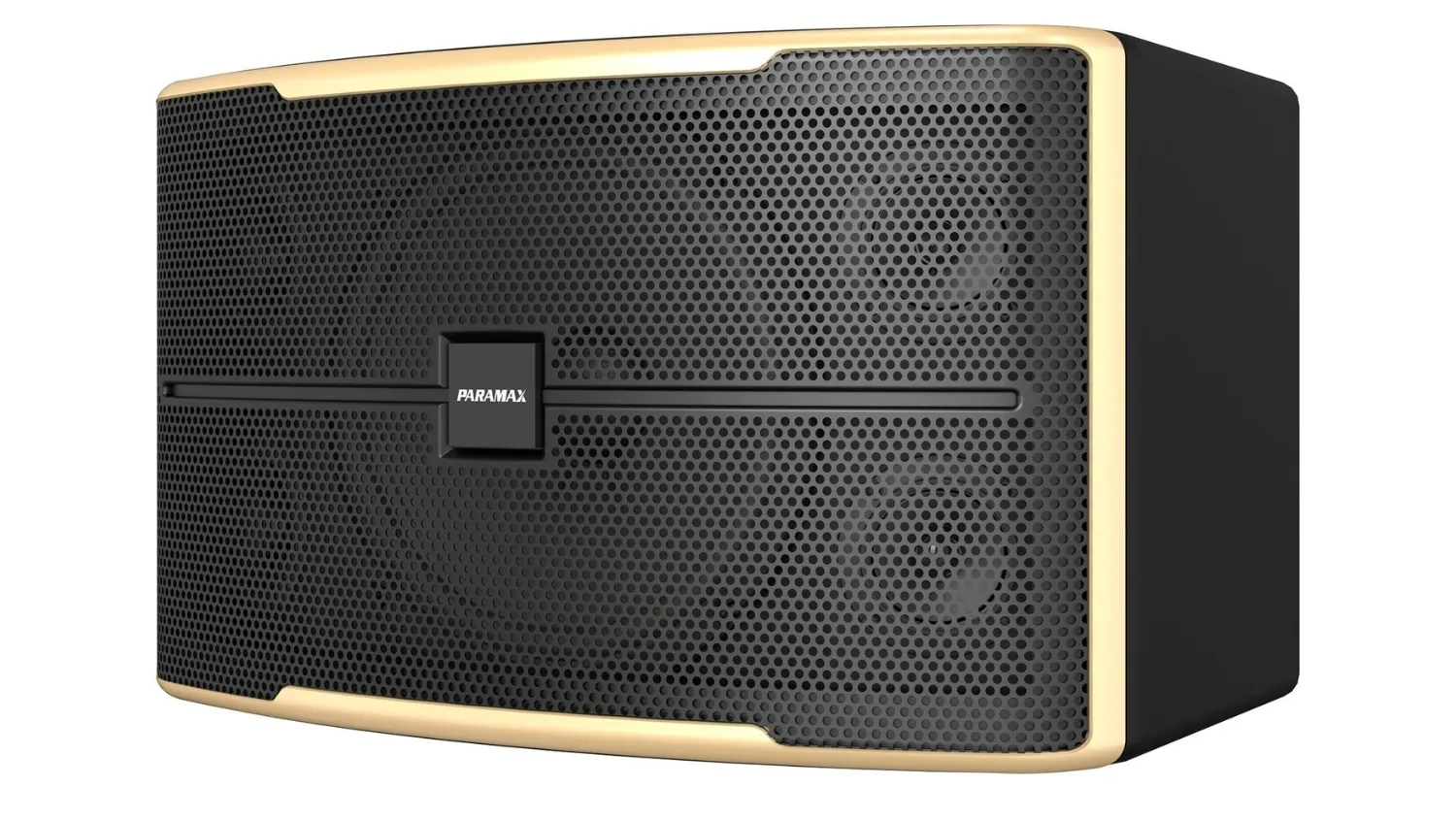 Mặt nghiêng của Loa Karaoke Paramax Z2500