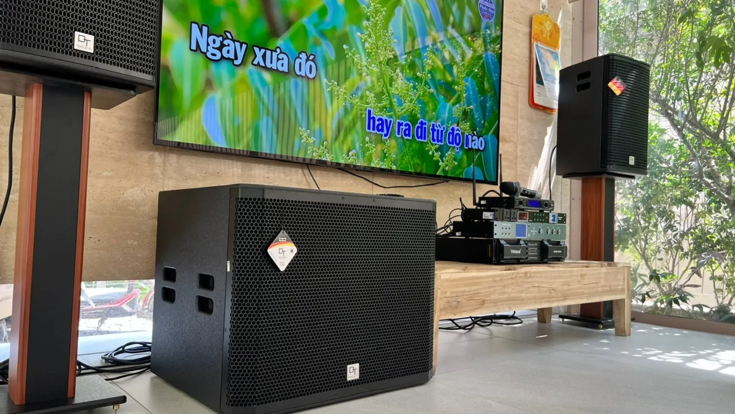 Loa sub DT Delta118 tích hợp trong dàn karaoke gia đình