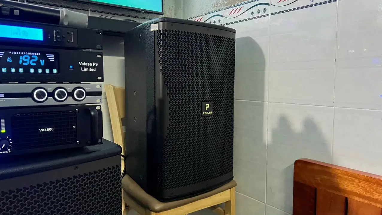 Loa karaoke của Dàn Karaoke P'Sound TT281