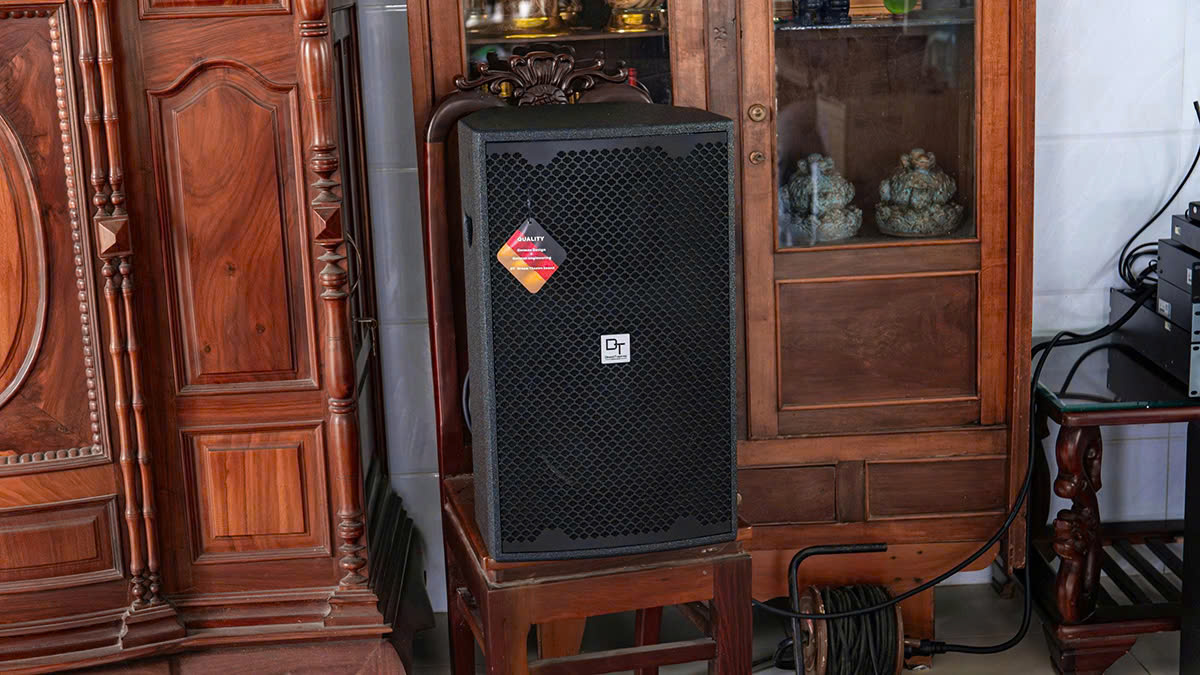 Loa karaoke DT D2000 trong Dàn karaoke DT TT468: (DT D2000, Vatasa T900 New, Vatasa V8 Pro, Vatasa VA-4600, DT Delta115, Vatasa P9 Limited)