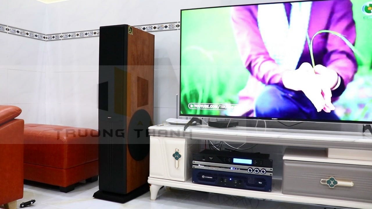 Ảnh sản phẩm Dàn Karaoke Paramax TT234: ( Paramax D88, Vatasa T500. Vatasa V6Pro, Crown T3) 3