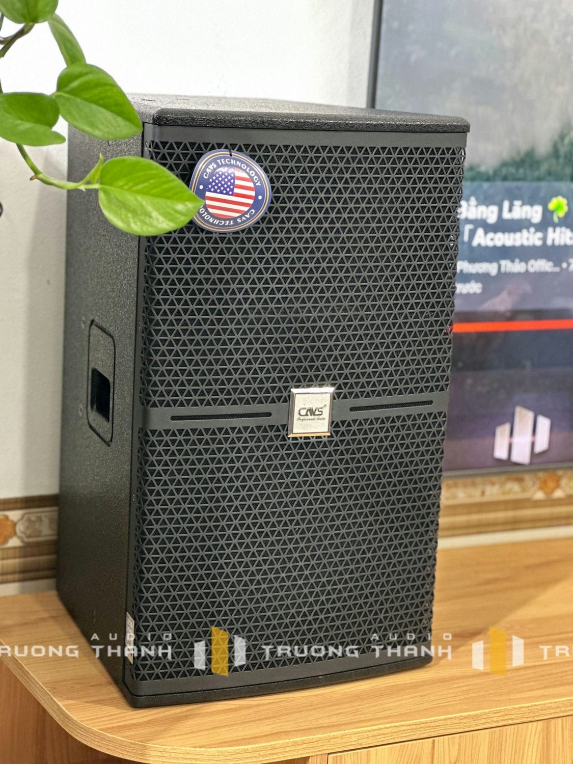 Ảnh sản phẩm Dàn Karaoke CAVS TT286: (CAVS C12, Vatasa T800, Vatasa V6 Pro, Vatasa VA-4600, CAVS KS115, Vatasa P9 Luxury) 5