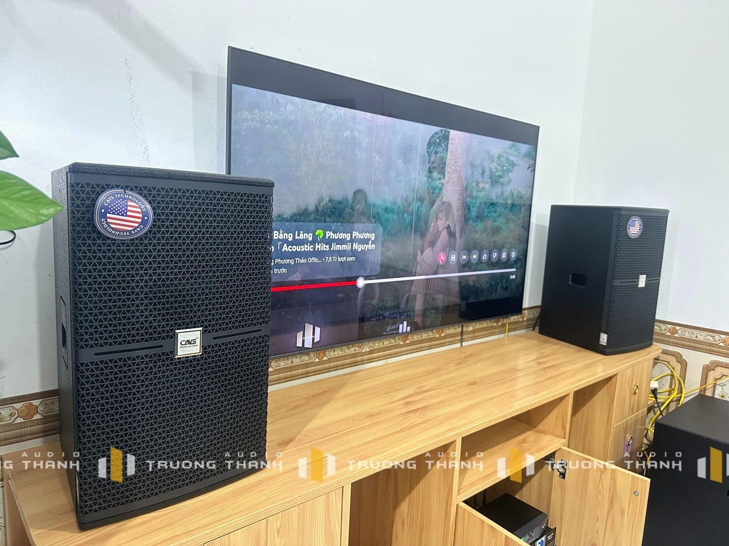 Ảnh sản phẩm Dàn Karaoke CAVS TT286: (CAVS C12, Vatasa T800, Vatasa V6 Pro, Vatasa VA-4600, CAVS KS115, Vatasa P9 Luxury) 9