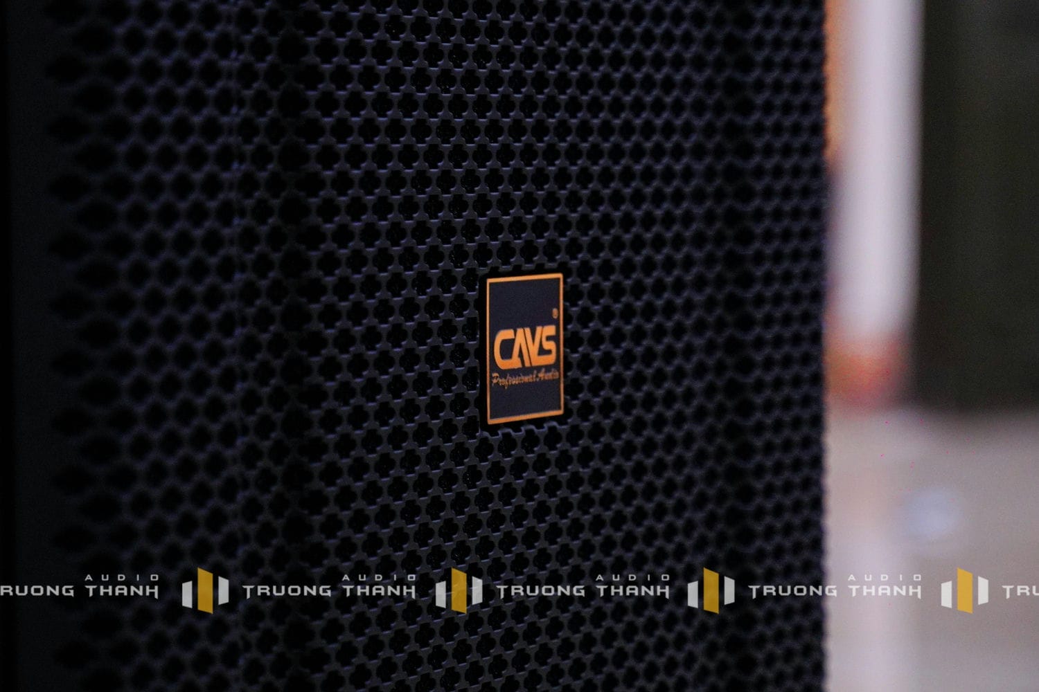 Ảnh sản phẩm Dàn Karaoke CAVS TT284: (CAVS C12, CAVS S10, Vatasa V6 Pro, Vatasa VA-2500, CAVS SC715, Vatasa P9 Limited) 49