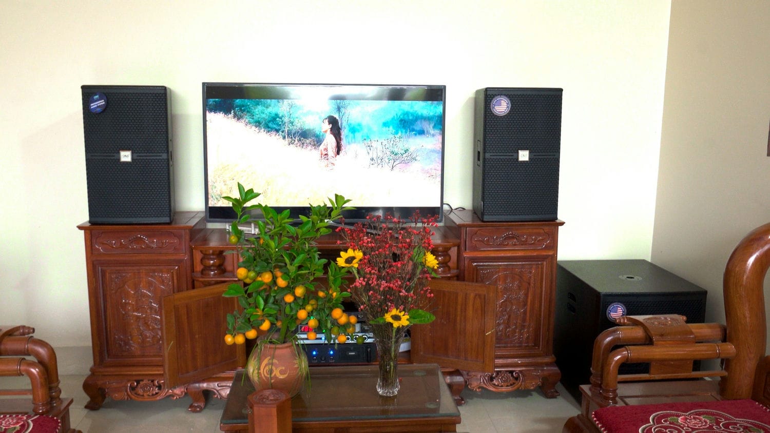 Ảnh sản phẩm Dàn Karaoke CAVS TT286: (CAVS C12, Vatasa T800, Vatasa V6 Pro, Vatasa VA-4600, CAVS KS115, Vatasa P9 Luxury) 12