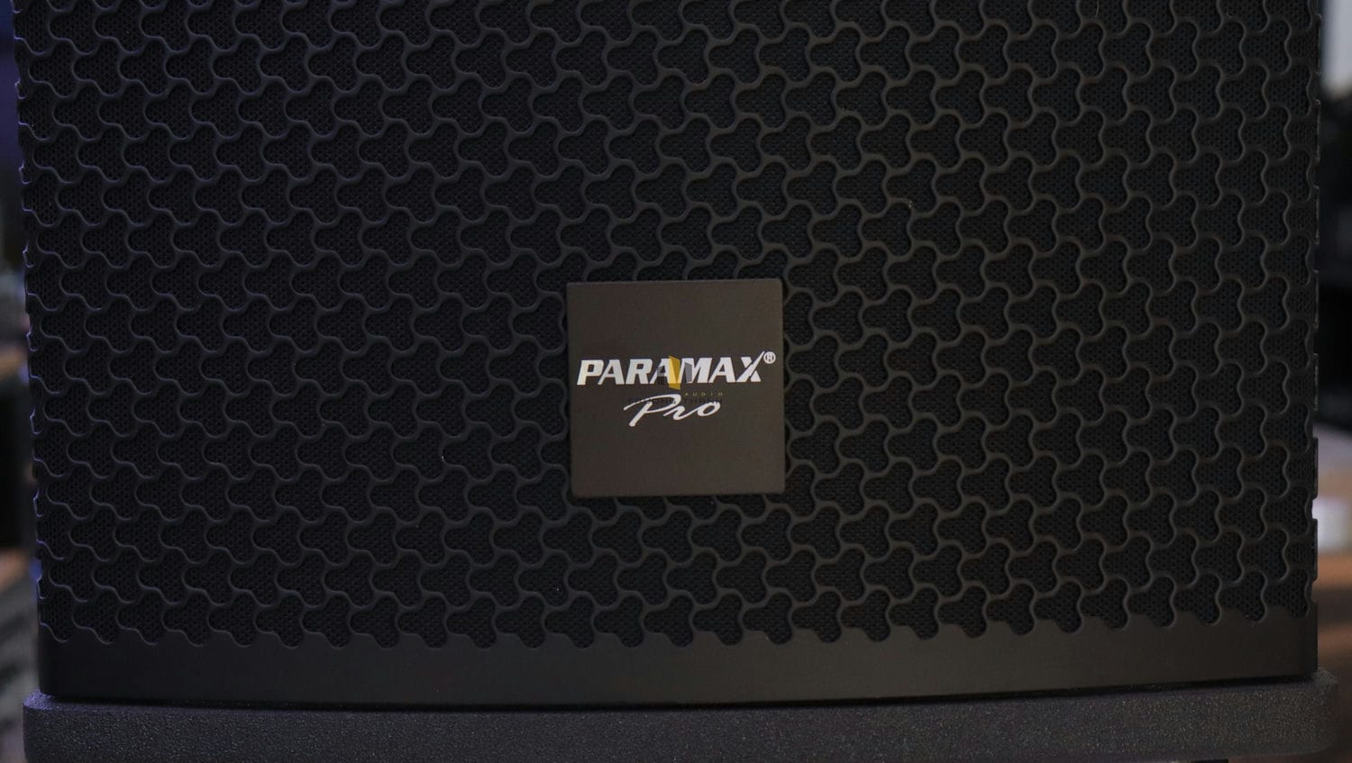Ảnh sản phẩm Loa Paramax Pro S25 3